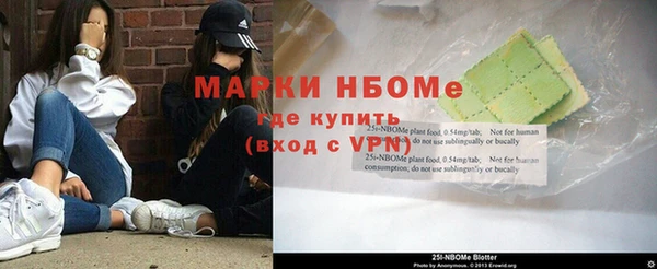 гидра Гусев