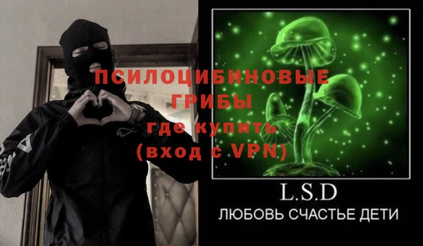 сатива Гусь-Хрустальный