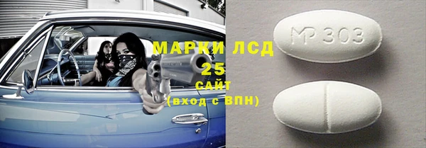 прущие грибы Гусиноозёрск