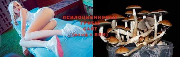 гидра Гусев