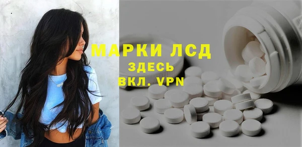 гидра Гусев