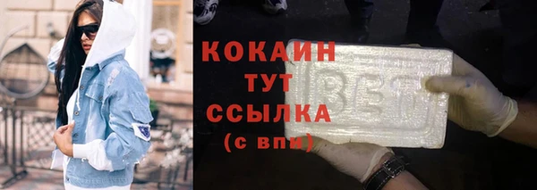 прущие грибы Гусиноозёрск