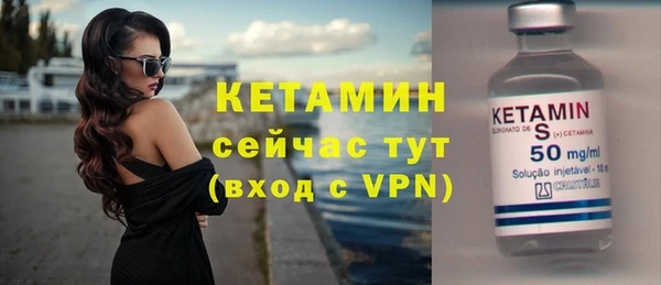 гидра Гусев