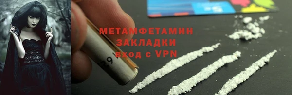 прущие грибы Гусиноозёрск