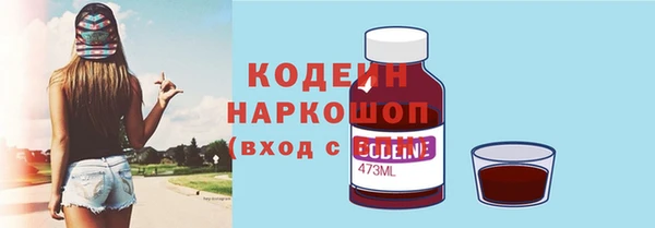 сатива Гусь-Хрустальный