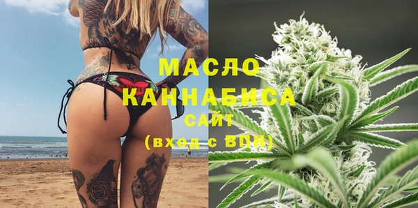 прущие грибы Гусиноозёрск
