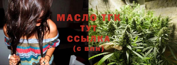 гидра Гусев