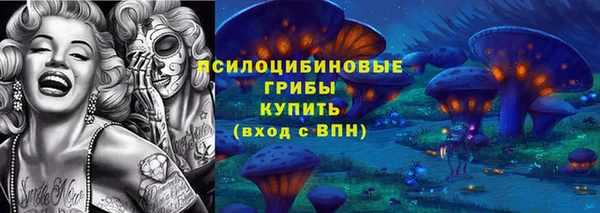гидра Гусев