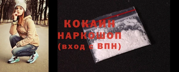 прущие грибы Гусиноозёрск